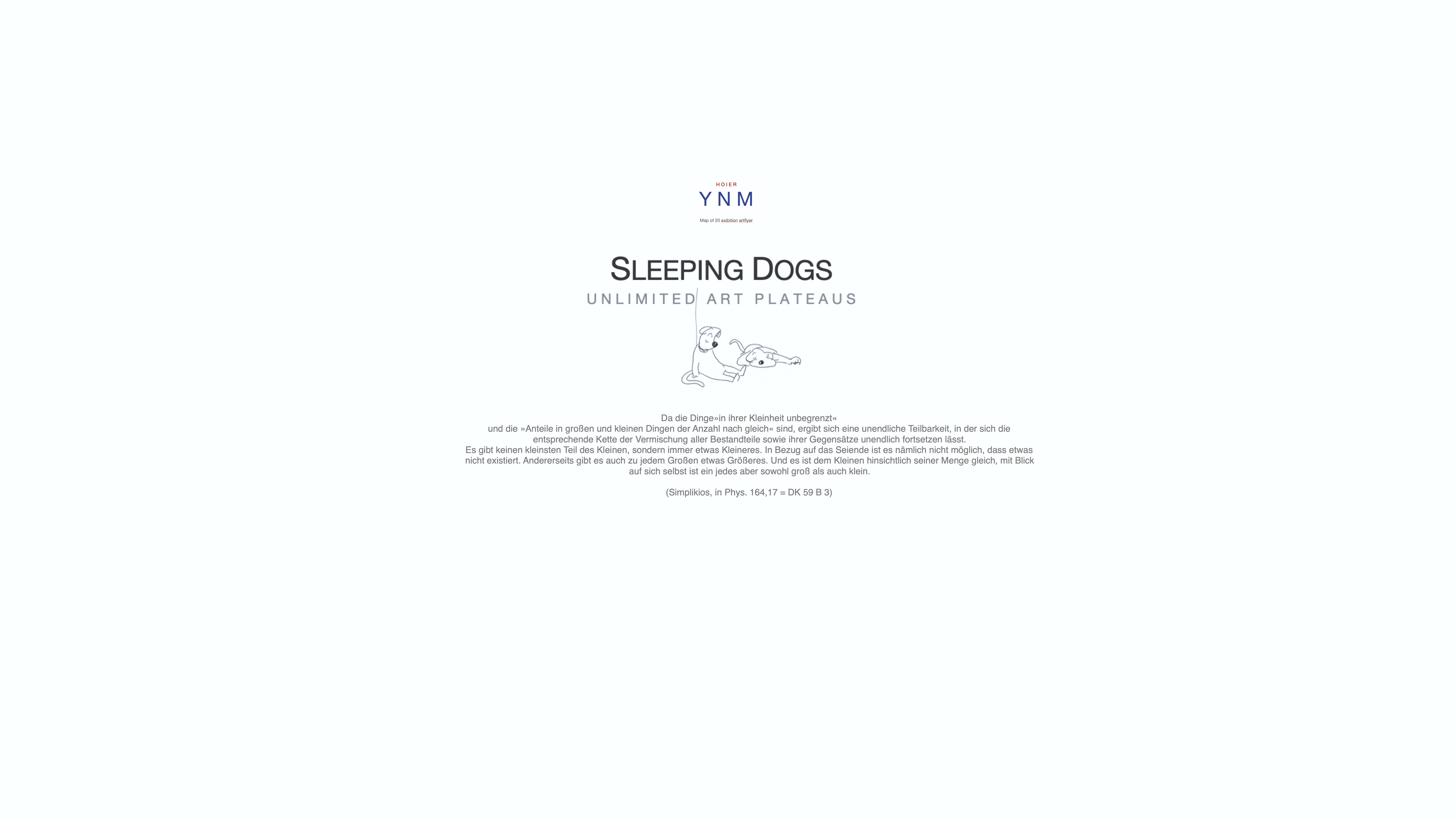 YNM / Heiner H. Hoier / Hoier.works / SLEEPING DOGS LTD UNLIMITED ART CONSORTIUM